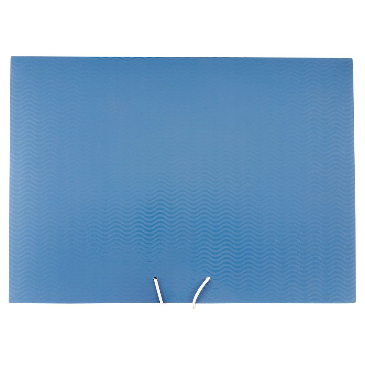 Smead Poly Expanding File. 12 Pockets. Letter Size. Blue/Black