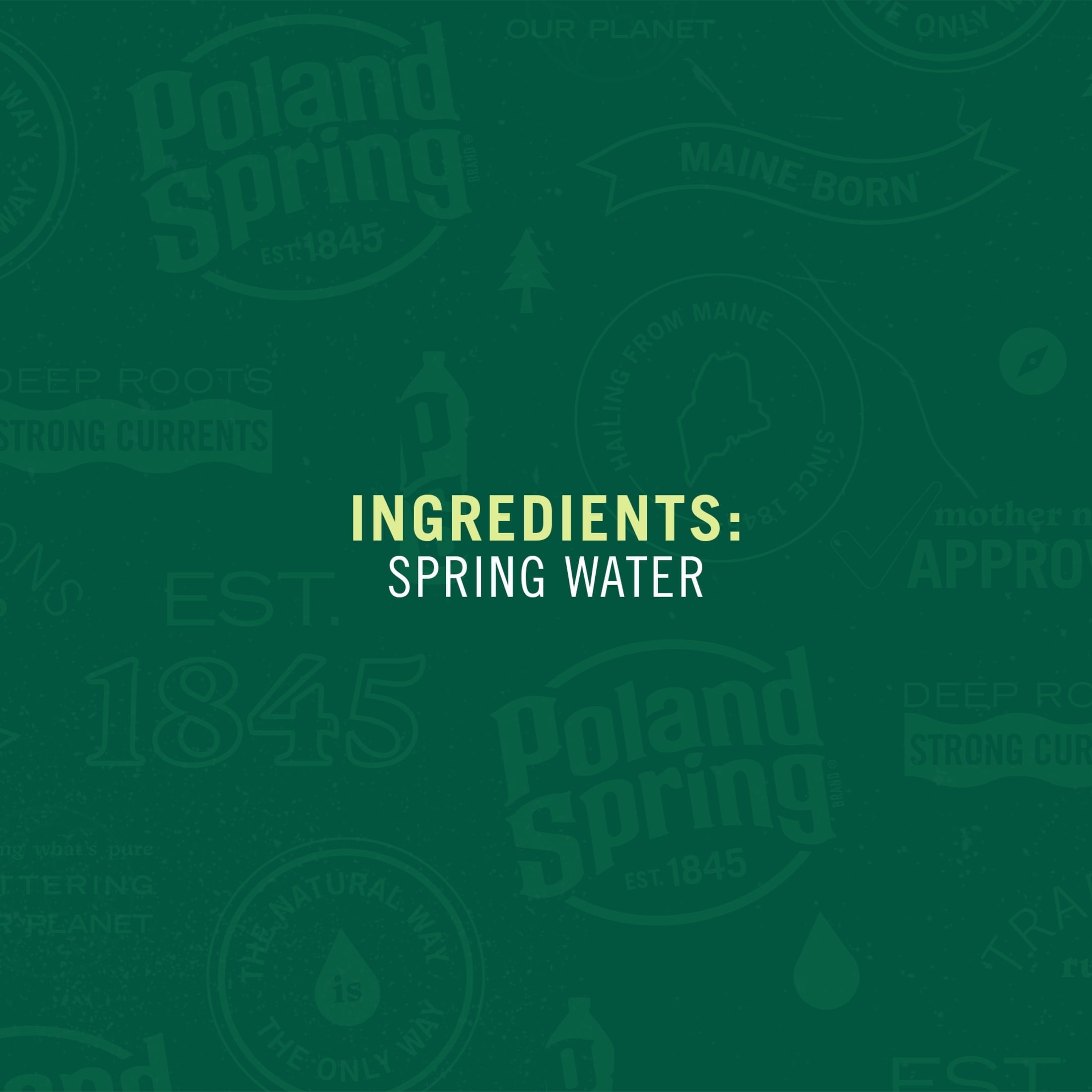 Poland Spring Maine Spring Water. 16.9 Fl Oz. 35-Pack Plastic Bottles