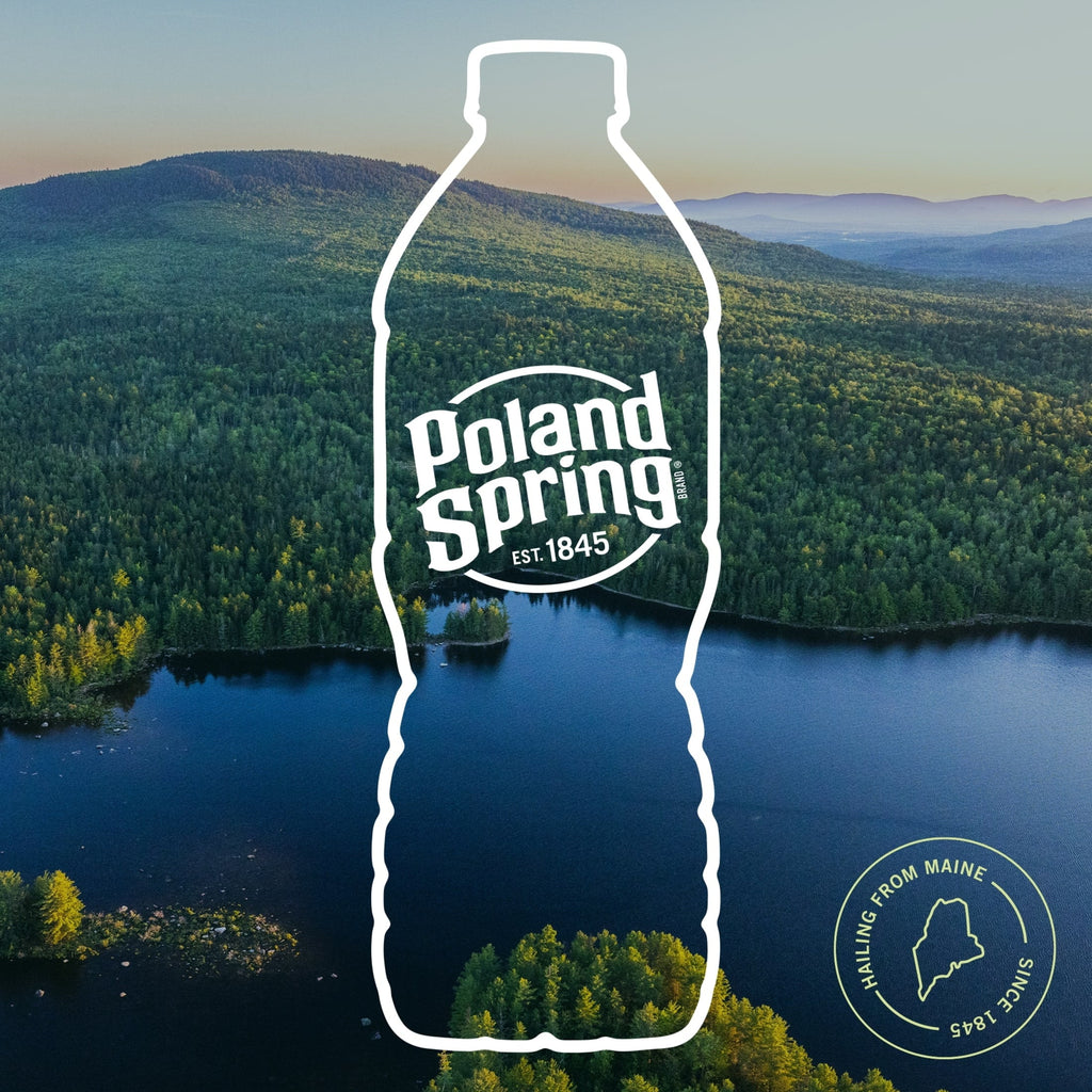 Poland Spring Maine Spring Water. 16.9 Fl Oz. 35-Pack Plastic Bottles