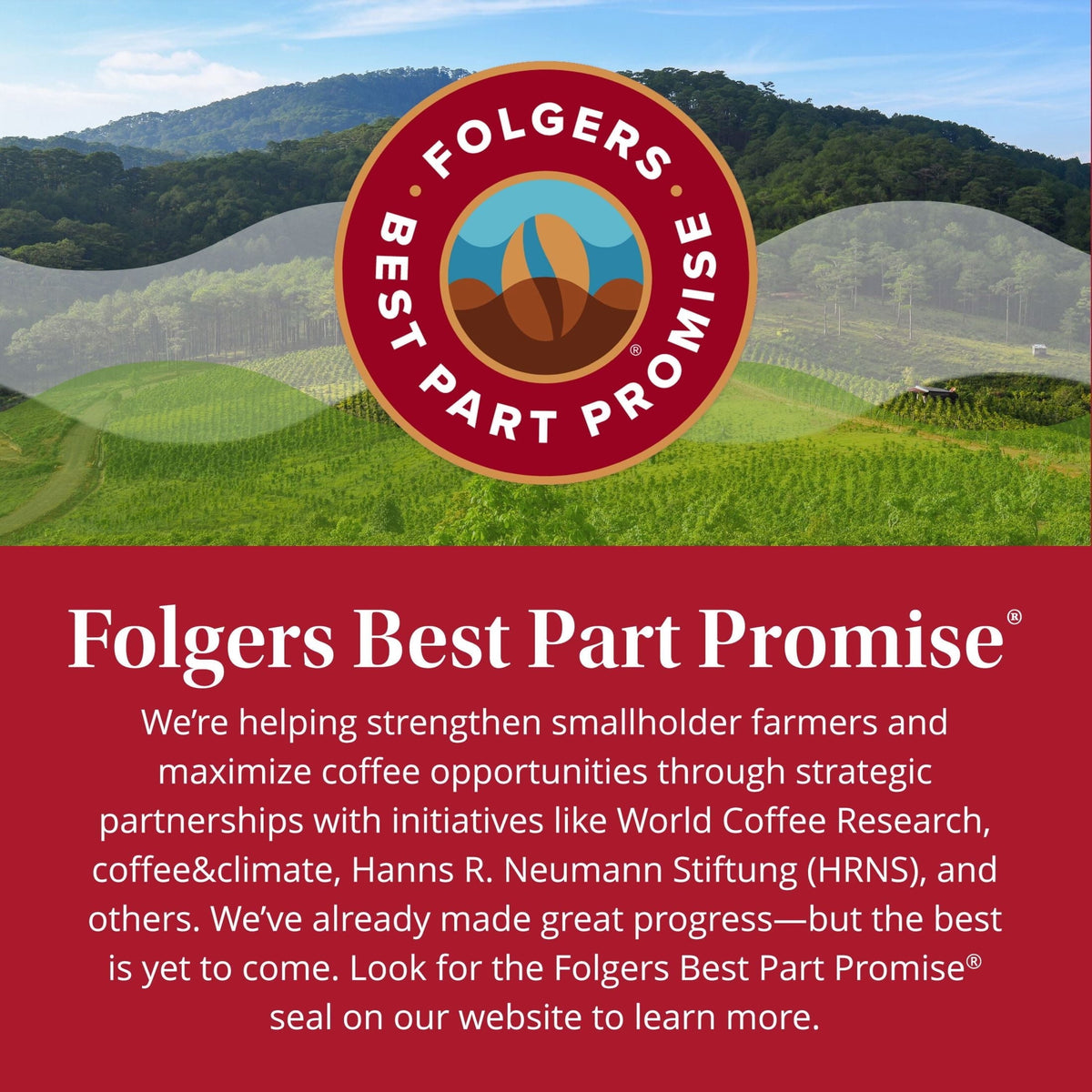Folgers Coffee Singles Classic Roast Coffee Bags. 38 Count