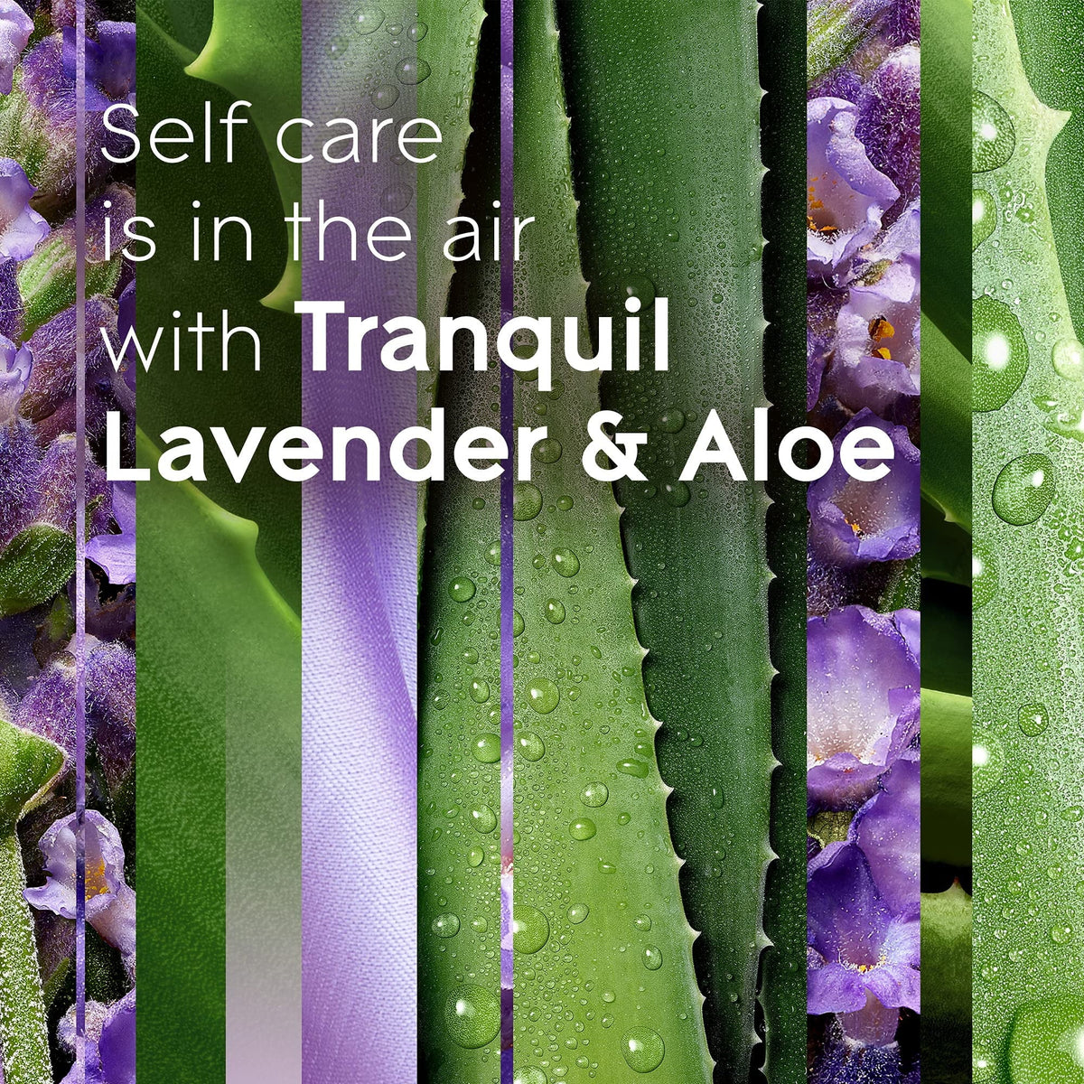 Glade Automatic Spray Refill - Tranquil Lavender & Aloe. 3 Refills (6.2 oz Each)