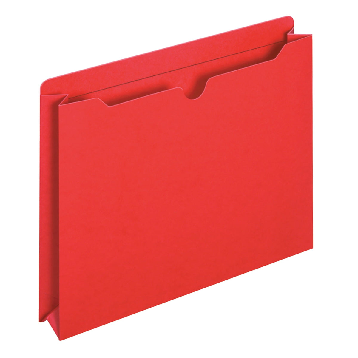 Pendaflex Reinforced 2 Expansion File Jackets. Letter. 10 per Pack. Assorted Colors
