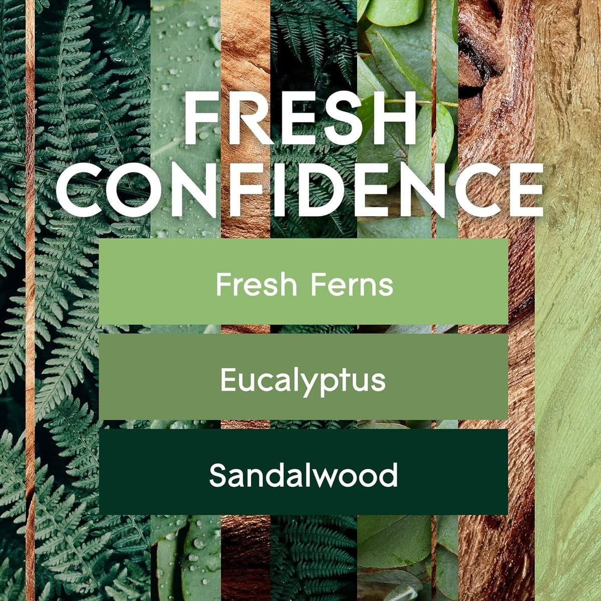 Glade Automatic Spray Refill - Fresh Confidence. 3 Refills (6.2 oz Each)