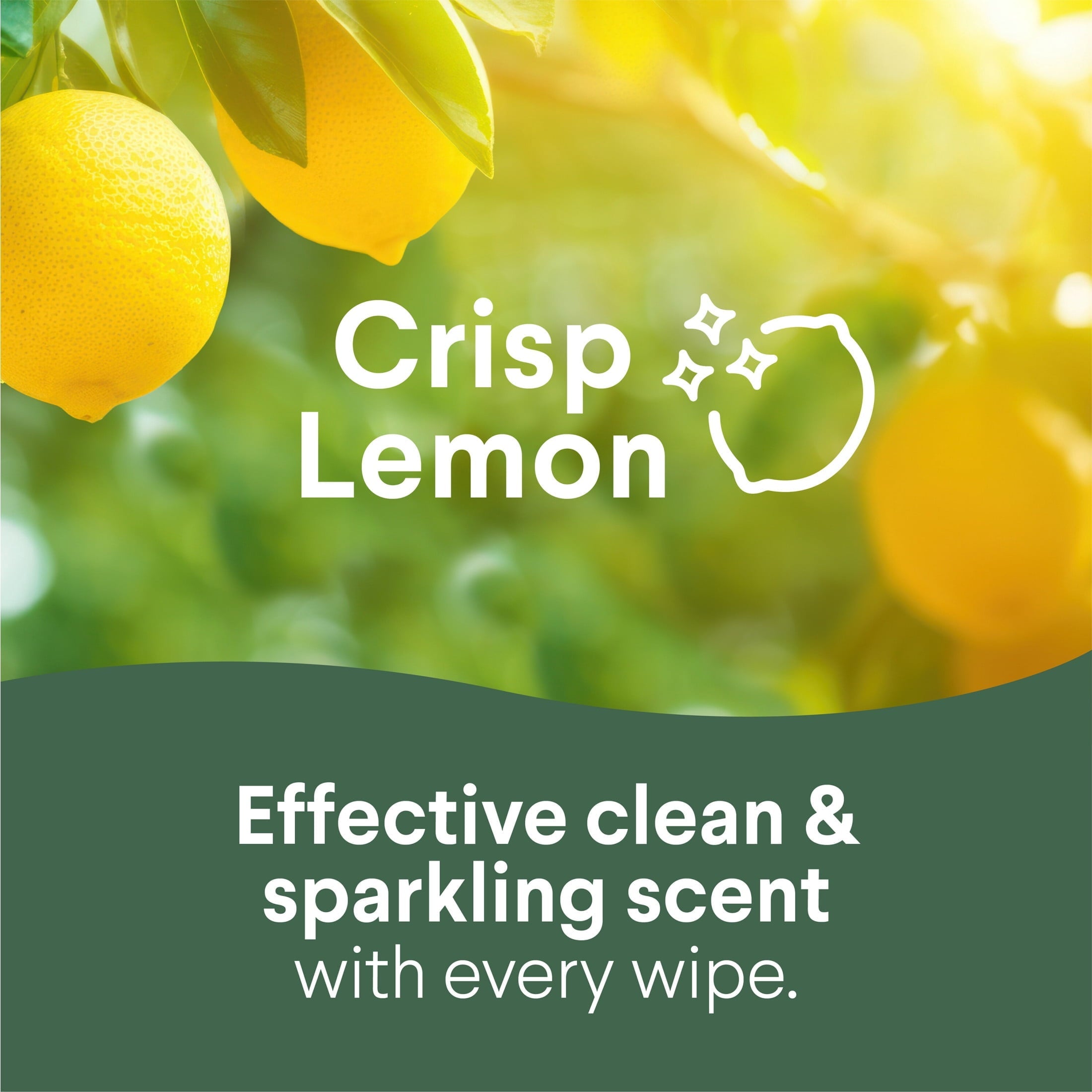 Clorox Disinfecting Cleaning Wipes Flex Pack. Bleach Free. Crisp Lemon. 75 Count