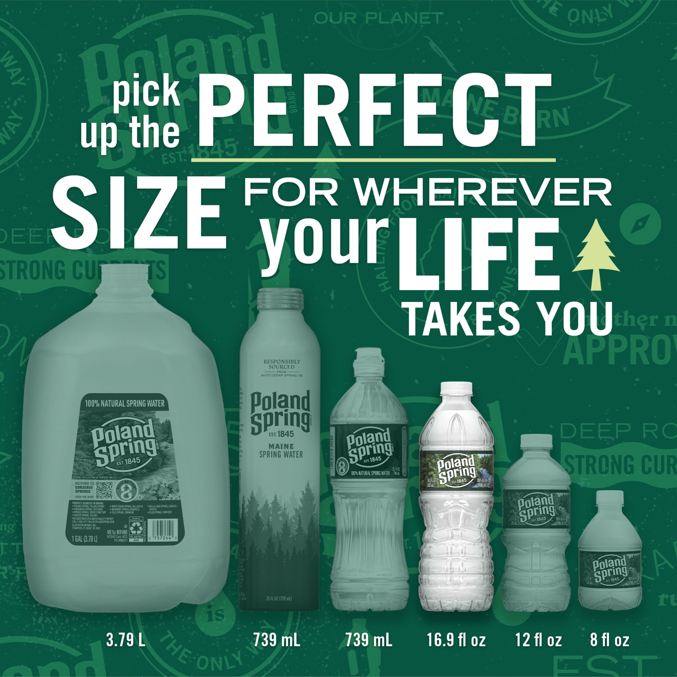 Poland Spring Maine Spring Water. 16.9 Fl Oz. 35-Pack Plastic Bottles