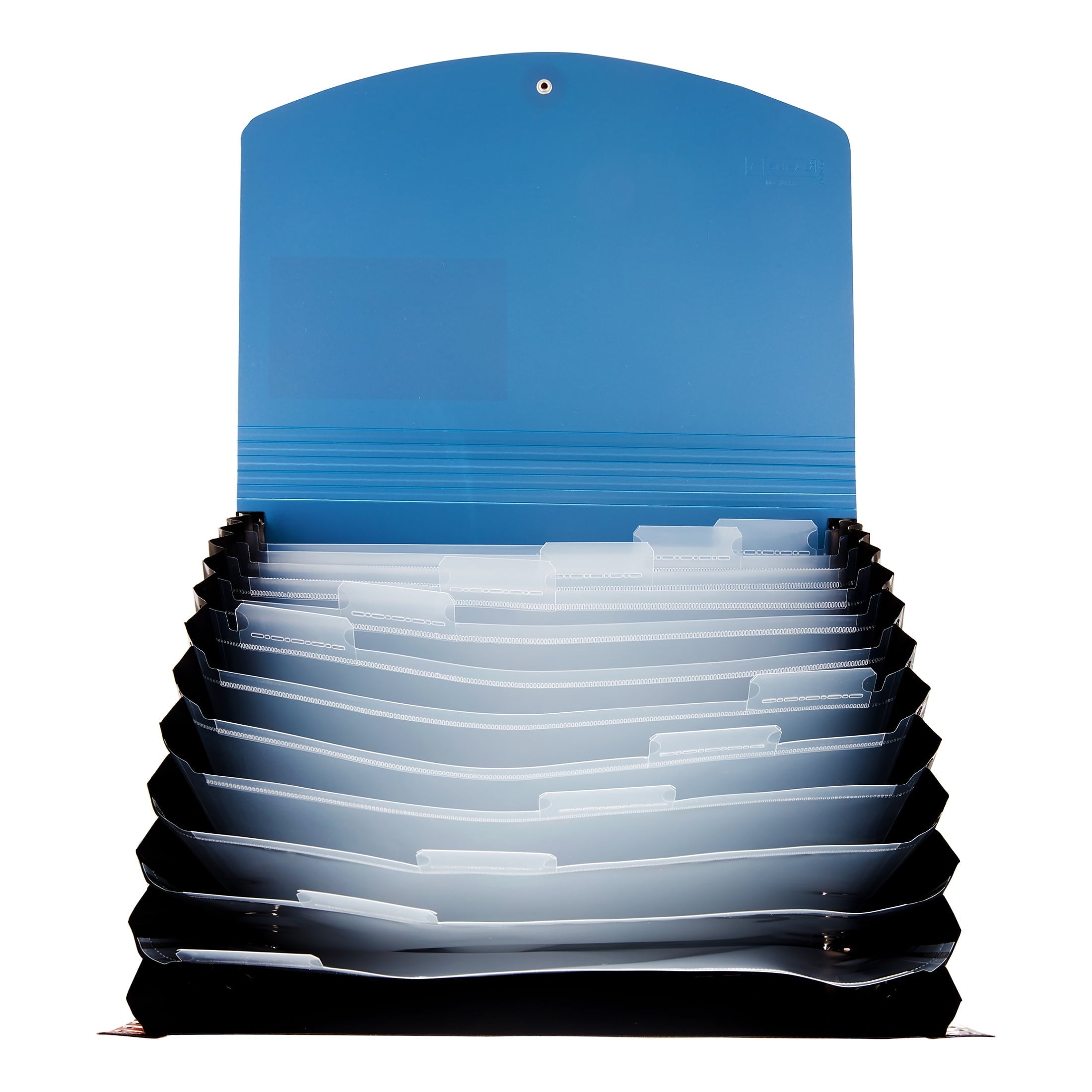 Smead Poly Expanding File. 12 Pockets. Letter Size. Blue/Black