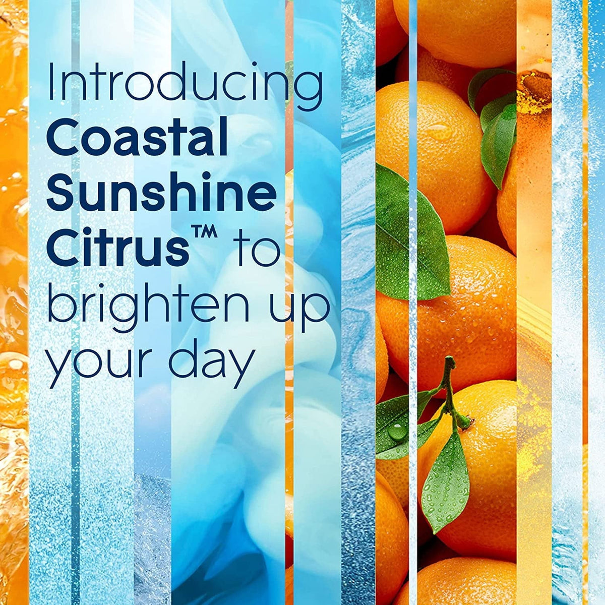 Glade Automatic Spray Refill - Coastal Sunshine Citrus. 3 Refills (6.2 oz Each)