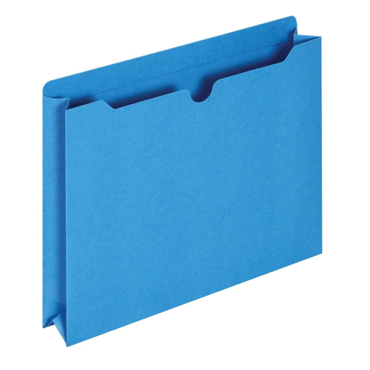 Pendaflex Reinforced 2 Expansion File Jackets. Letter. 10 per Pack. Assorted Colors