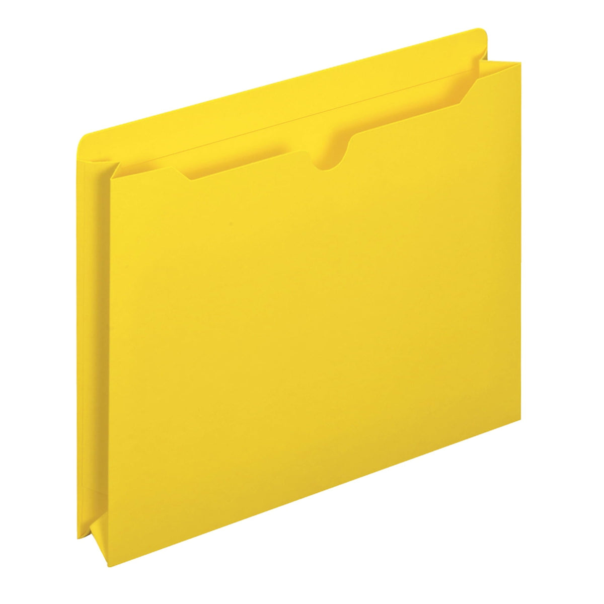 Pendaflex Reinforced 2 Expansion File Jackets. Letter. 10 per Pack. Assorted Colors